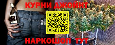 индика Ирбит