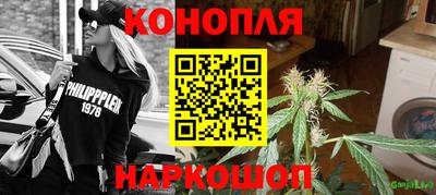 индика Ирбит