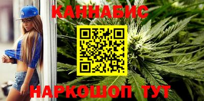 индика Ирбит
