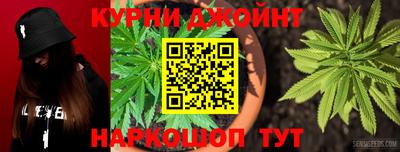 индика Ирбит