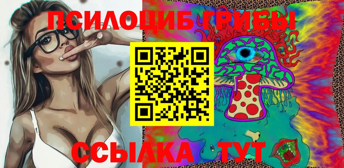 Галлюциногенные грибы Psilocybe Бугуруслан